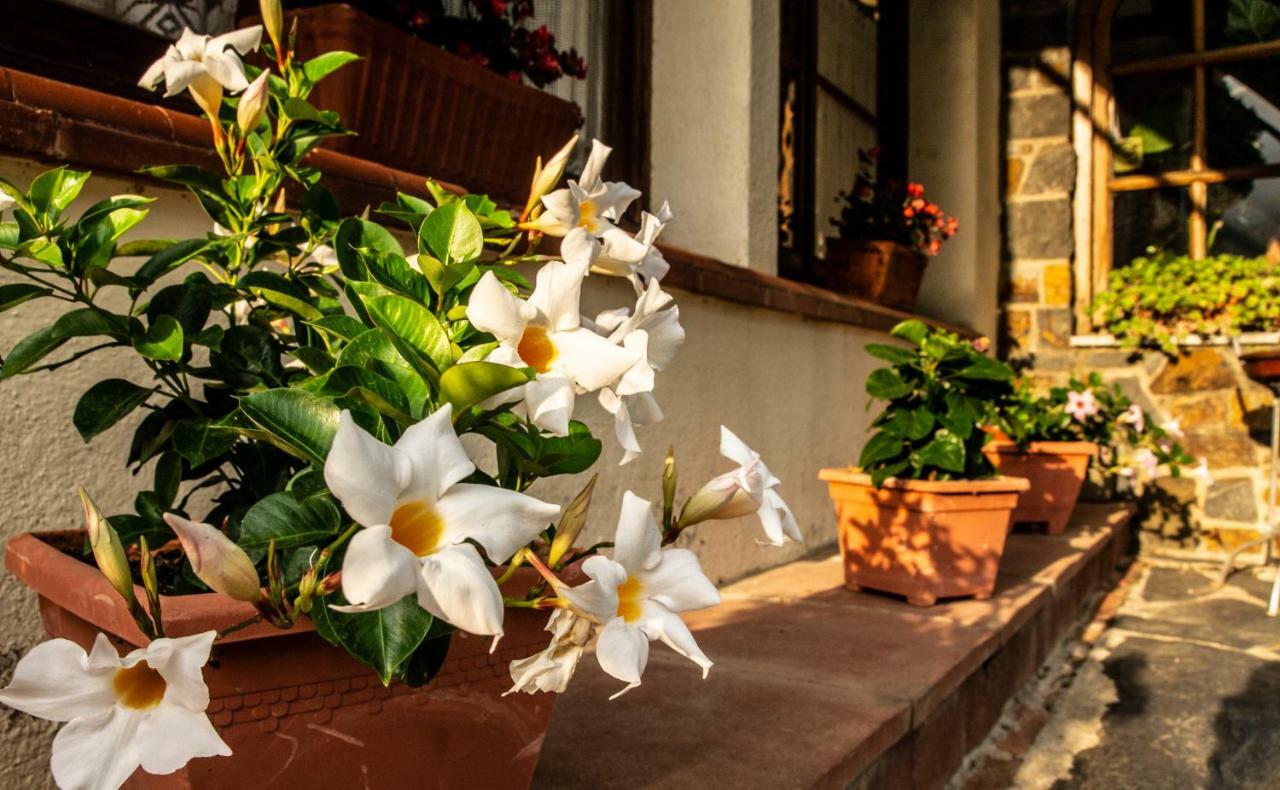 Hostal Montserrat Montseny Eksteriør billede