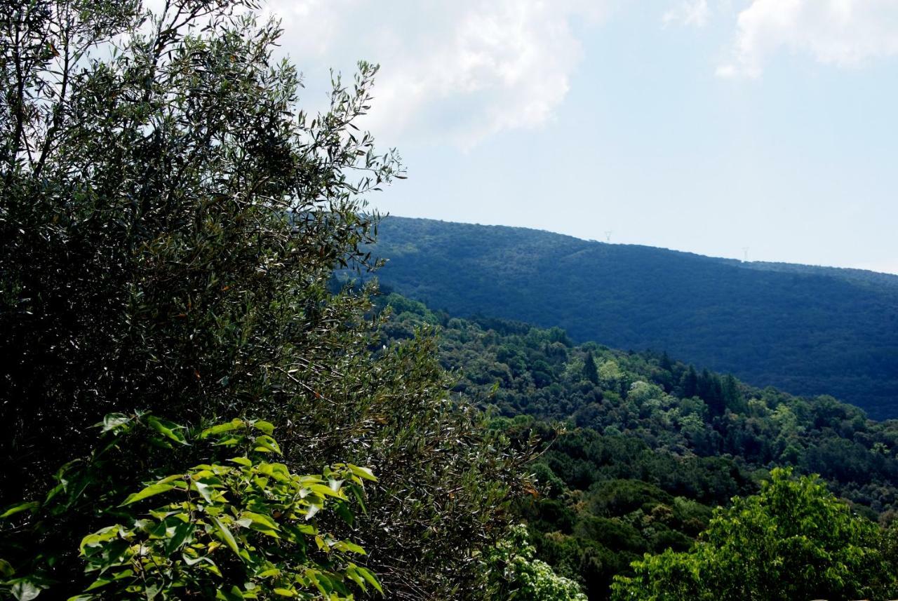 Hostal Montserrat Montseny Eksteriør billede
