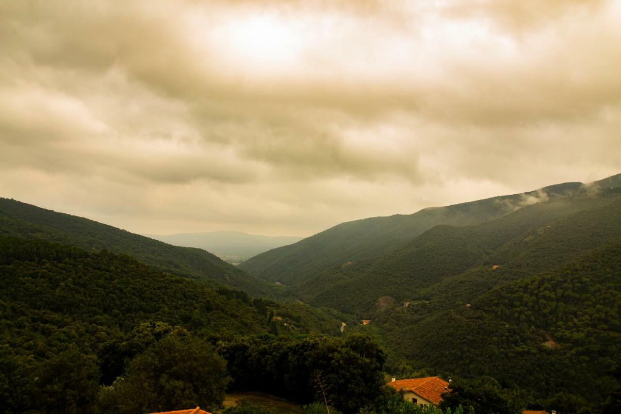 Hostal Montserrat Montseny Eksteriør billede